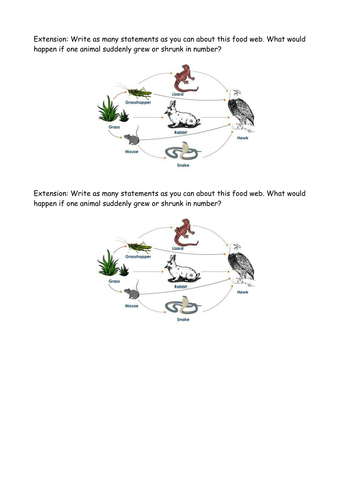 Food Chains SCIENCE KS1 Full lesson pack