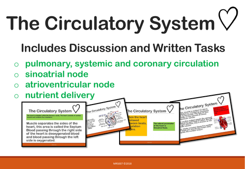 The Circulatory System (Unit of Work)