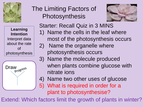 The Limiting Factors of Photosynthesis Outstanding Lesson AQA New 9-1 Bioenergetics