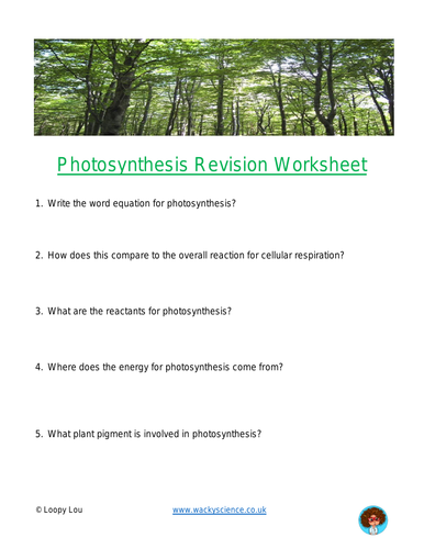 Photosynthesis revison worksheet
