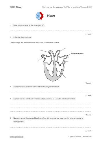 gcse-biology-9-1-heart-worksheet-video-teaching-resources