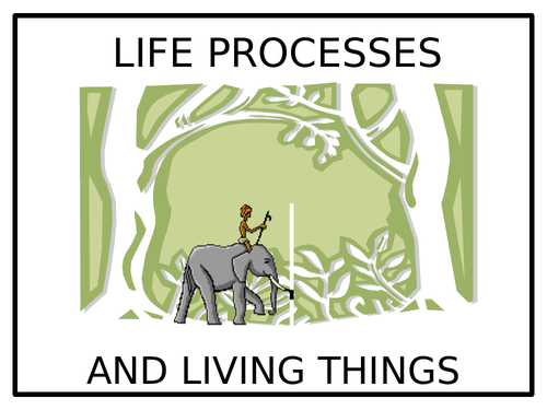 The 7 Life Processes - PowerPoint & Worksheets