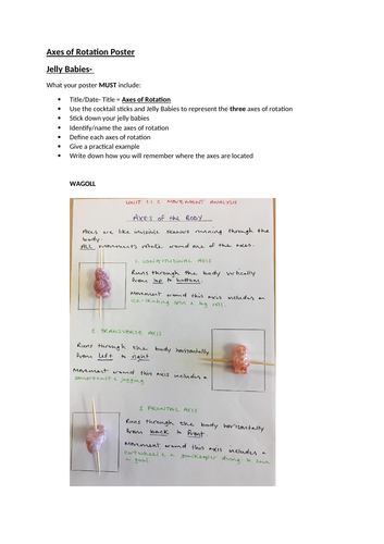 Planes of Movement/Axes of Rotation Poster Task