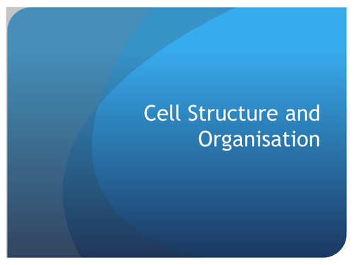 Cell structure and organisation