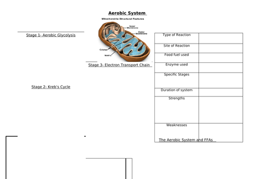 OCR A Level PE- Aerobic System