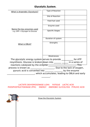 OCR A Level PE- Glycolytic System