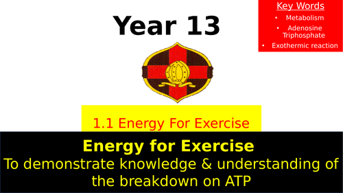 OCR A Level PE- Energy Systems