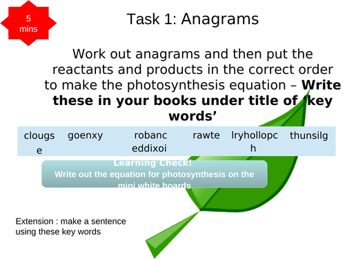 Photosynthesis KS3