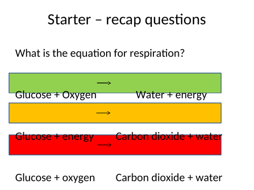 Anaerobic Respiration (KS3/4)