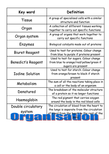 Organisation Glossary (9-1) GCSE AQA