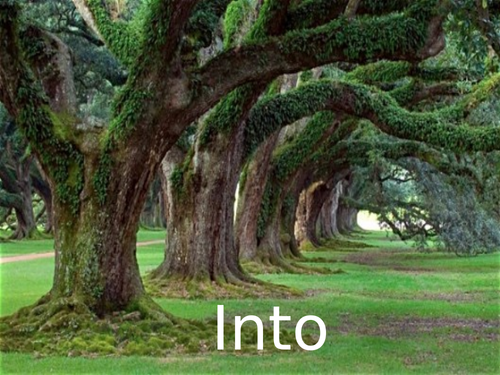 'Into My Own' by Robert Frost.  CCEA AS Level