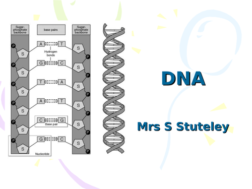 DNA and Protein Synthesis-OCR A
