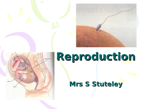 Reproduction in Humans - Edexcel iGCSE