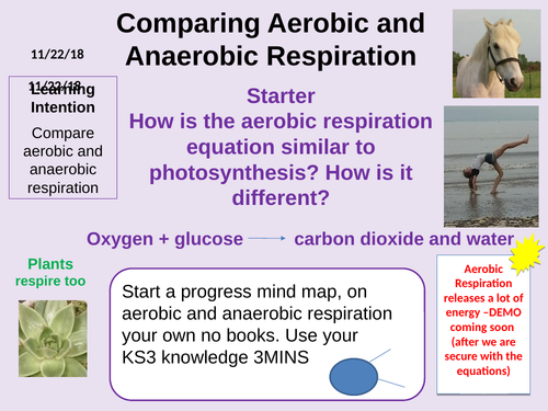 Comparing Aerobic and Anaerobic respiration Outstanding Lesson AQA New 9-1 Bioenergetics