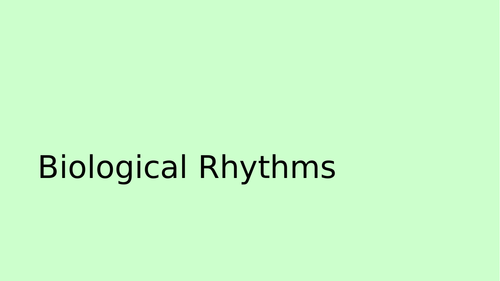 Biopsychology - Ultradian and Infradian Rhythms