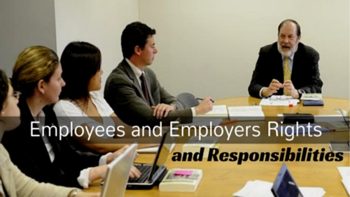 Representative organisations (Employee's Rights and Responsibilities unit)