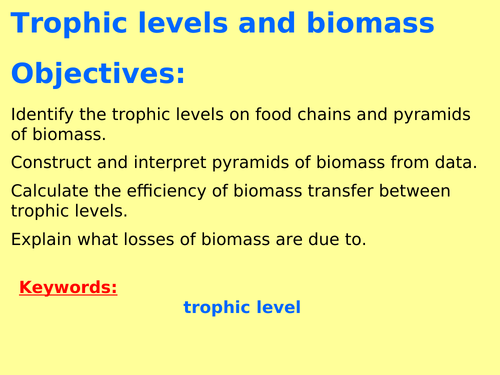 AQA B7.10 (Biology spec 4.7) - Trophic levels, biomass pyramids and transfers (TRIPLE ONLY)