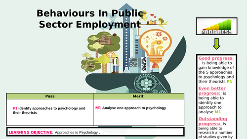 Behaviour in the Public Sector 8 PowerPoint Presentations
