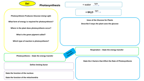 Photosynthesis Worksheet / Organised Work Mat & Information Mat for Photosynthesis AQA 9-1