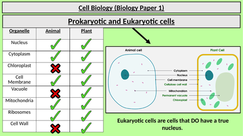 Complete AQA 9-1 Cell Biology Revision + Practice