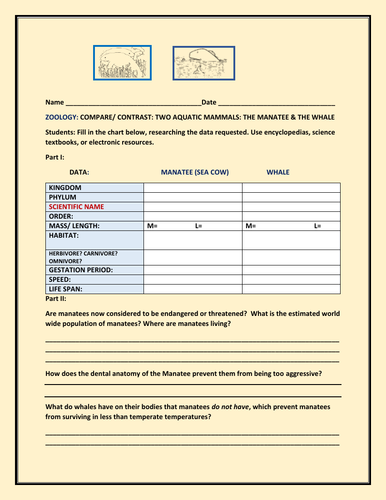 COMPARE/CONTRAST: TWO AQUATIC MAMMALS: THE MANATEE & THE WHALE