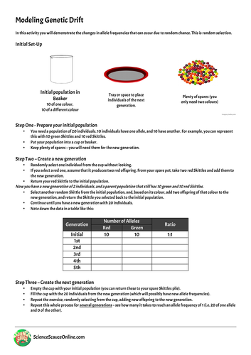 Genetic Drift Activity and Demonstration