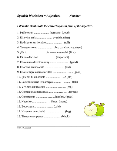 Spanish Adjective Agreement Worksheet