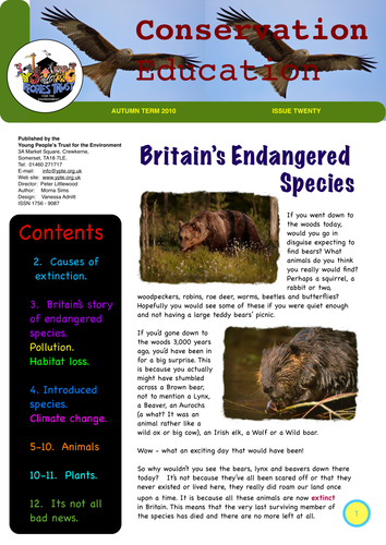 Who cares for the Environment? KS3