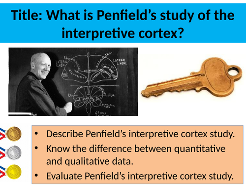Penfield's Study of the Interpretive Cortex (KEY STUDY)- AQA GCSE Psychology (9-1)