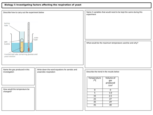 GCSE Biology Prescribed Practical Respiration in Yeast Revision Mat