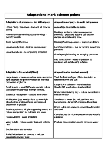 KS4 AQA B7 Adaptations full lesson