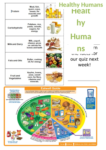 Healthy Eating Knowledge Organiser | Teaching Resources