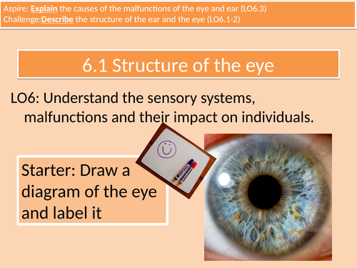 Health and Social Care Cambridge Technical Level 3 LO6.1-4 Complete Eye and Ear