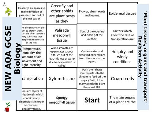 NEW AQA GCSE Biology 'Plant organs, tissues & transport' - Dominoes Revision Activity