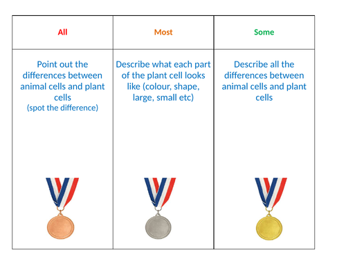 Animal Cells & Plant Cells - Spot the Difference - SEN
