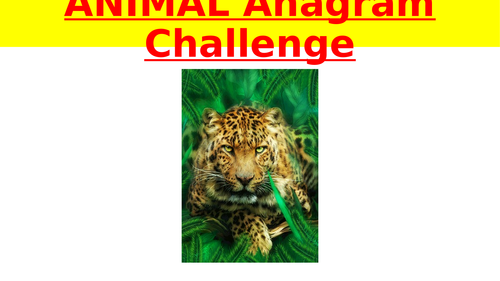The ANIMALS Anagram Challenge