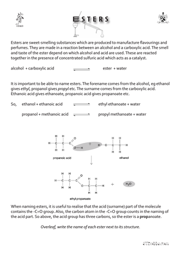 Esters worksheet