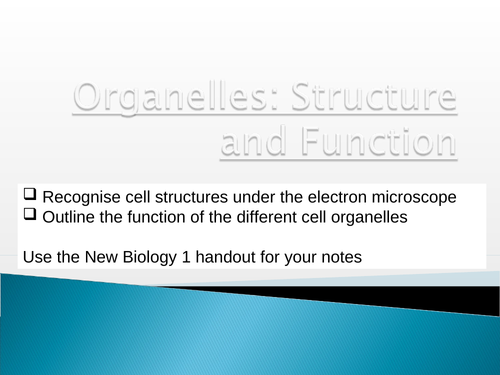 Cellular organelles