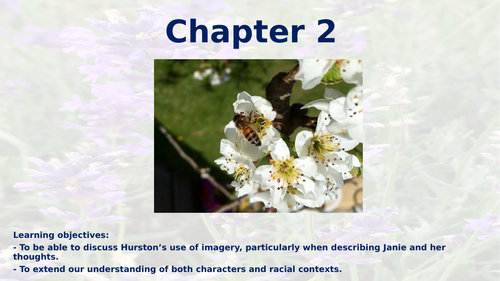 CIE IGCSE English Literature - Their Eyes Were Watching God - Chapter 2