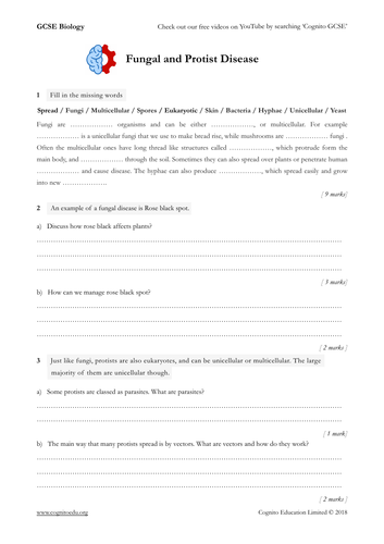 GCSE Biology (9-1) - Fungal and Protist Disease - Worksheet | Teaching
