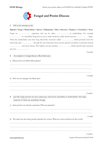 GCSE Biology (9-1) - Fungal and Protist Disease - Worksheet