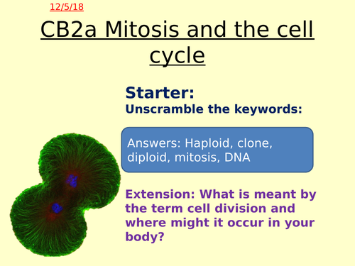 CB2a/SB2a Mitosis