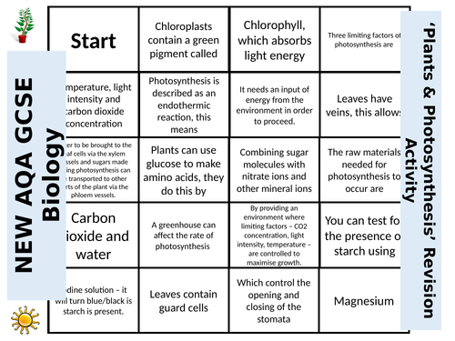 NEW AQA GCSE Biology 'Plants & Photosynthesis' - Dominoes Revision Activity