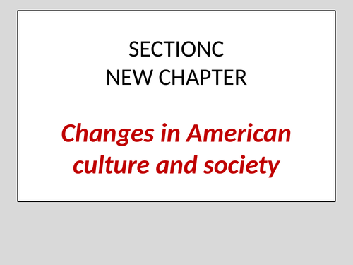 US Society in the 1920s  Flappers