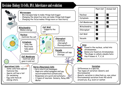 EDEXCEL ELC (2016) Biology 1A- Cells, genetics, inheritance and modification Revision