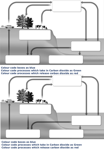 AQA Carbon Cycle