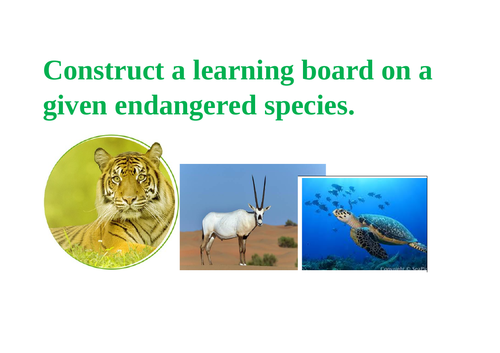 Design a learning board on endangered species