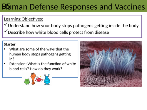 Human Defense Response and Vaccinations