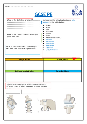 GCSE PE Revision