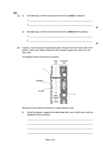 3.3.4.2 - AS Biology Mass Transport in Plants